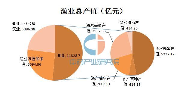 蛋鸡养殖场软件_养鸡软件app_蛋鸡养殖管理软件