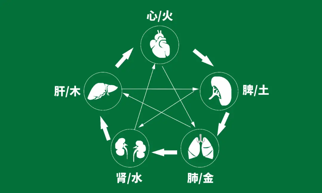 经络动画视频_经络动画演示_十二经络动画