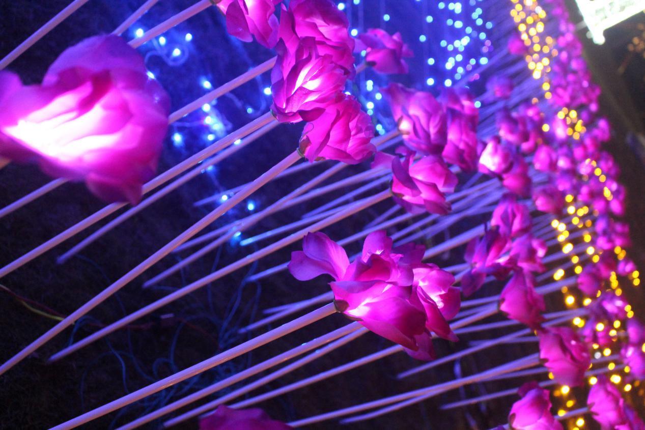 狂欢节动漫_动漫狂欢节人物简介_动漫狂欢节讲的什么