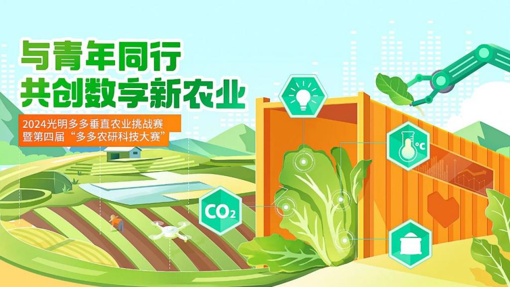 斗脑三国桌游_三国游戏桌游_三国脑洞