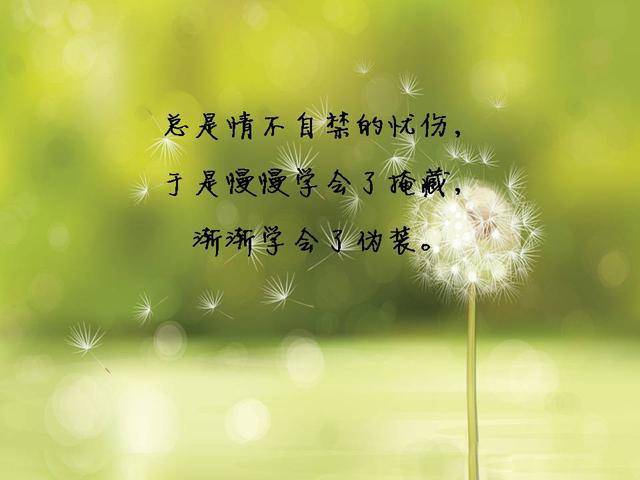 动漫粤语勇者警察_动漫粤语勇者警察怎么说_勇者警察粤语01