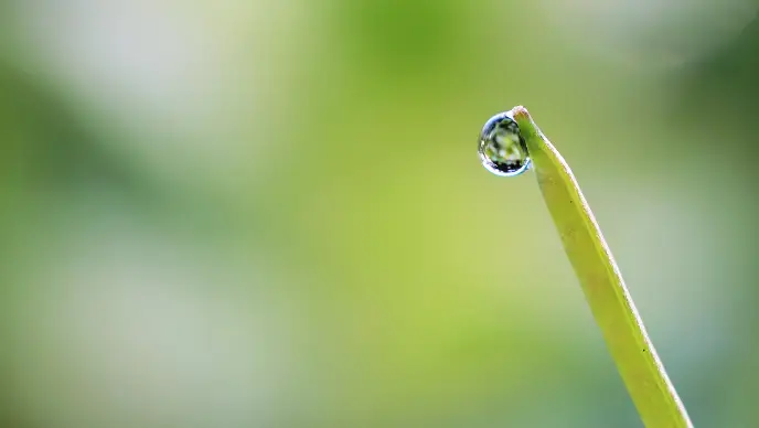 开心宝贝网游_开心宝贝橙光游戏_宝贝开心橙光游戏怎么玩