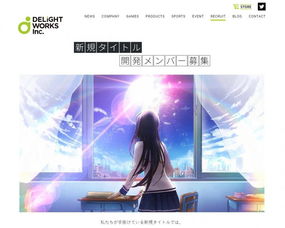 delight 开发,delight开发语言