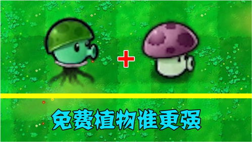 小喷菇,植物大战僵尸中的免费小能手