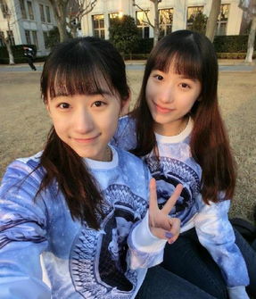 双胞胎美少女 美女,双生的魅力与独特魅力