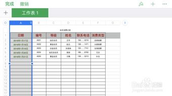 制作表格的软件,功能、选择与使用技巧