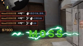 对峙2怎么看延迟,对峙2电脑版下载官网