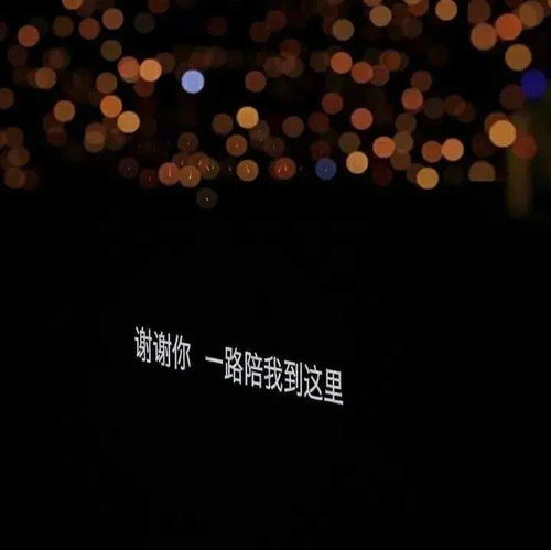 朱砂痣是什么意思白月光是什么意思