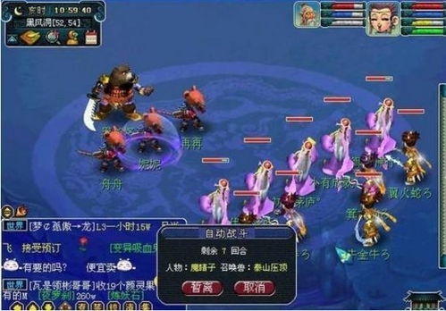 梦幻西游玩家,探寻游戏世界的魅力与挑战