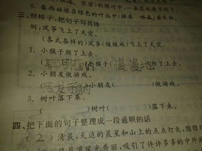 孤独的鸟儿游戏官方版2024下载安装v2.4 