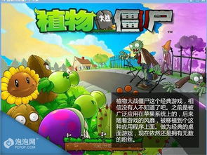 愤怒的小鸟经典版 
