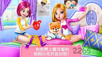小布小布 小布小布