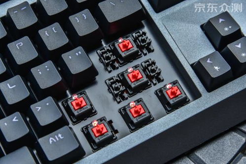 生存还是死亡 