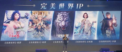 天道完美世界 