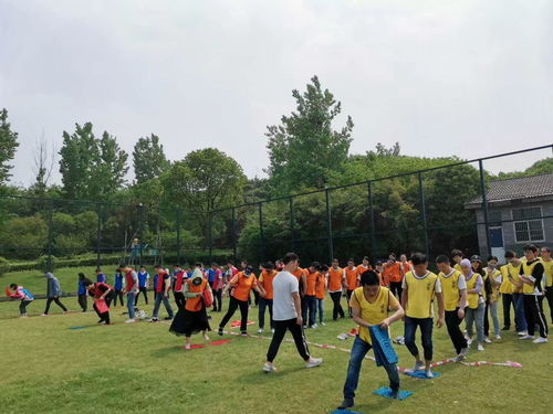 机器人斗兽场小游戏 