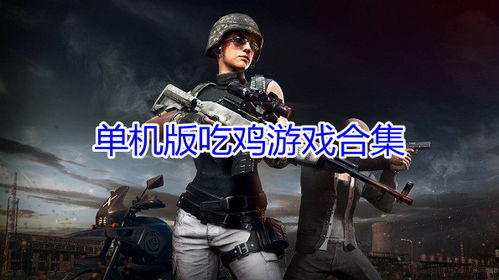 生存小队单机吃鸡 