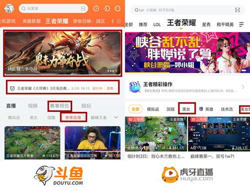 抖爸爸平台直播下载 